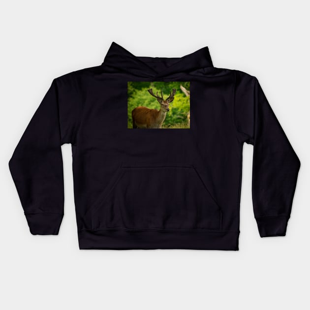 stag 5 Kids Hoodie by outlawalien